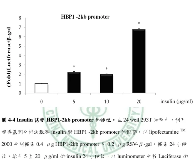 圖 4-4 Insulin 誘發 HBP1-2kb promoter 的活性。在 24 well 293T 細胞中，利用 報導基因分析法觀察 insulin 對 HBP1 -2kb promoter 的影響，以 lipofectamine  TM  2000 分別轉染 0.4  μg HBP1-2kb promoter 及 0.2  μg RSV-β-gal，轉染 24 小時 後，給予 5 至 20  μg/ml 的 insulin 24 小時後，以 luminometer 分析 Luciferase 的 