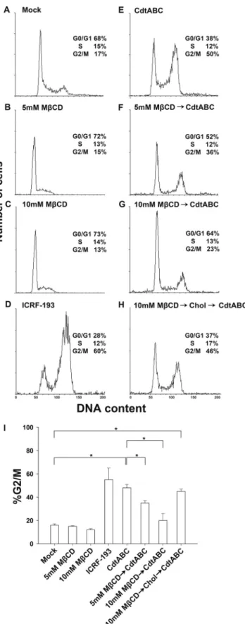 FIG. 11. Sufficient cellular cholesterol is essential for C. jejuni CDT-induced cell cycle arrest