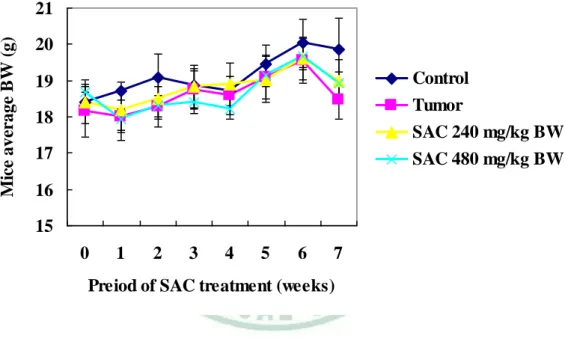 Figure 3. The average body weight during SAC treatment. 