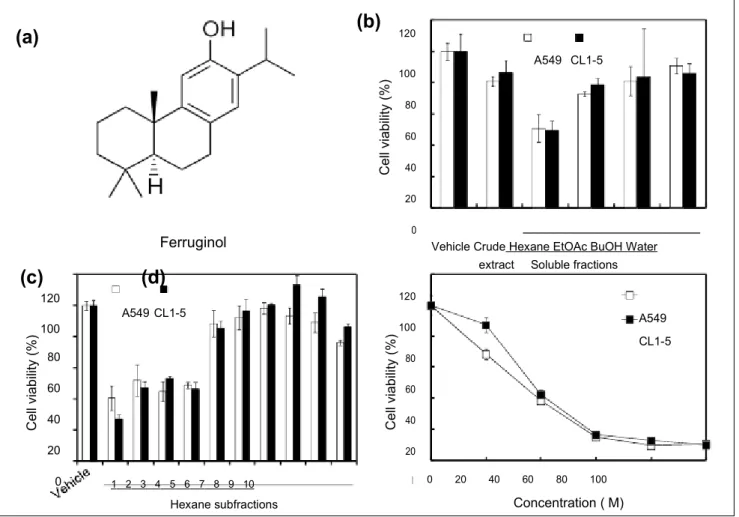 Figure 1. The cytotoxic effects of the Cryptomeria japonica extract and its active phytocompound in A549 and CL1-5 cells.