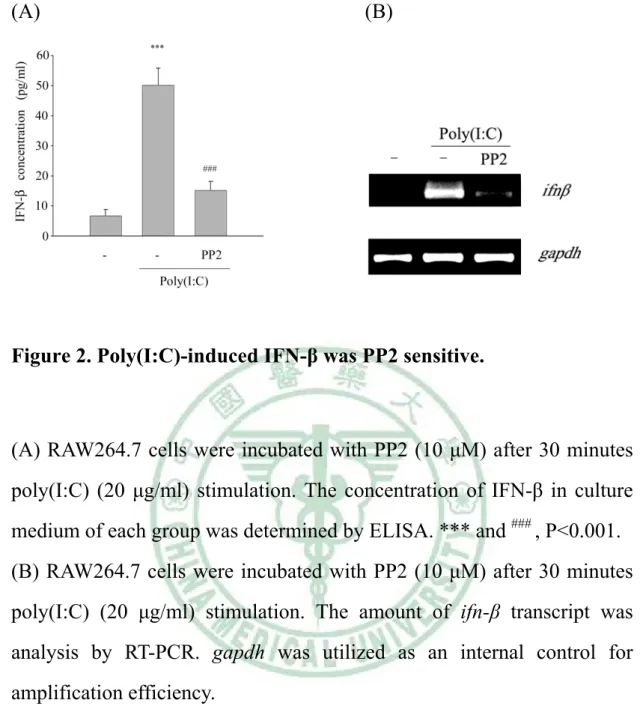 Figure 2. Poly(I:C)-induced IFN-β was PP2 sensitive. 