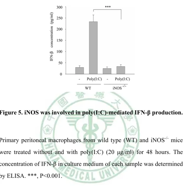 Figure 5. iNOS was involved in poly(I:C)-mediated IFN-β production. 