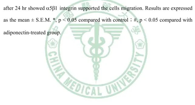 Fig. 7 Adiponectin-directed migration of human prostate cancer cells involves  up-regulation of α5β1 integrin