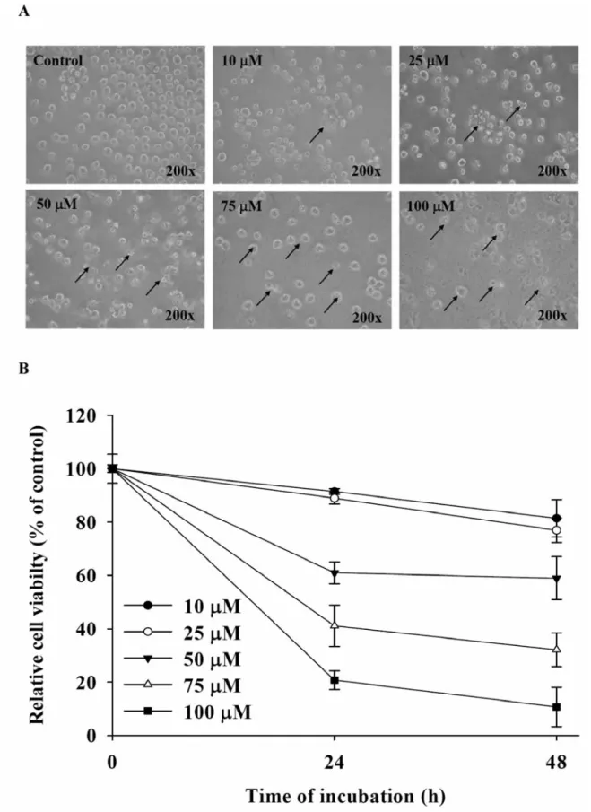 Figure 1. GA affected cell morphological changes and the percentage of viable HL-60 cells