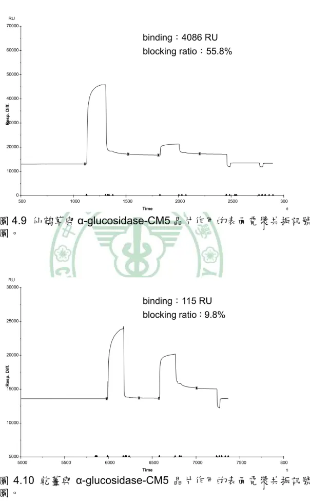 圖 4.9 仙鶴草與 α-glucosidase-CM5 晶片作用的表面電漿共振訊號 圖。  圖 4.10 乾薑與 α-glucosidase-CM5 晶片作用的表面電漿共振訊號 圖。 50001000015000200002500030000 5000 5500 6000 6500 7000 7500 8000TimesResp