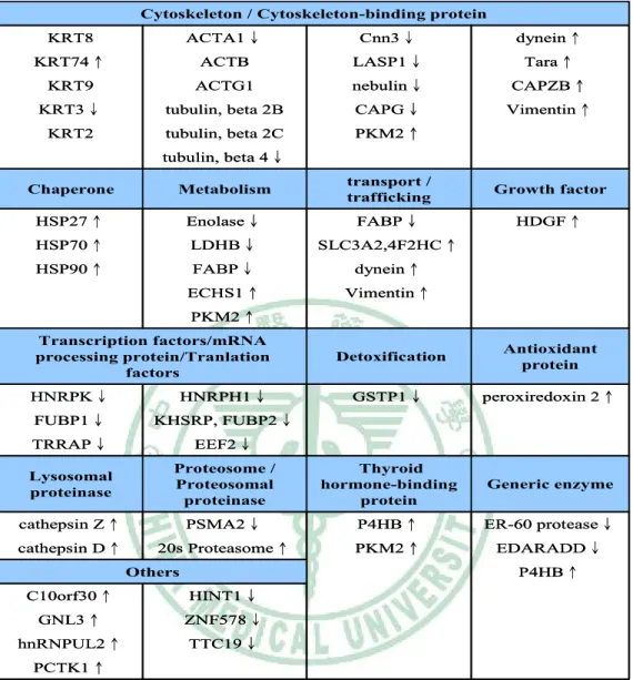 Table 4  2D-MS 分析所得蛋白質之功能分類  PCTK1↑ TTC19↓hnRNPUL2↑ ZNF578↓GNL3↑HINT1↓C10orf30↑ P4HB↑Others EDARADD↓PKM2↑20s Proteasome↑cathepsin D↑ ER-60 protease↓P4HB↑PSMA2↓cathepsin Z↑Generic enzymeThyroid hormone-binding proteinProteosome / ProteosomalproteinaseLysoso