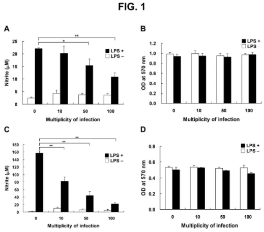 Fig. 1. H. pylori–mediated inhibition of LPS-induced NO production in the RAW 264.7 cell line (A)  and in murine primary peritoneal exudated macrophages (PEMs; C)