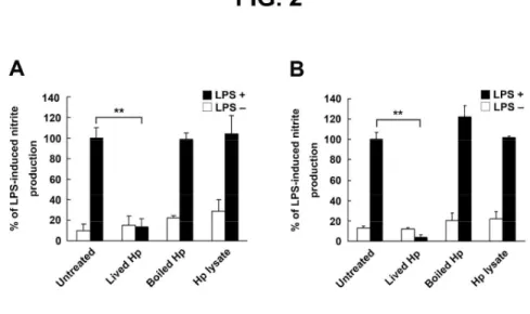Fig. 2. Live H. pylori are essential for inhibition of LPS-induced NO production by macrophages