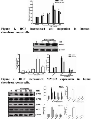Figure  1.  HGF  increasesed  cell  migration  in  human  chondrosarcoma cells. 