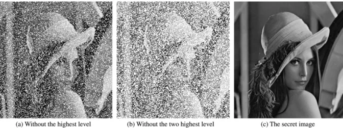 Fig. 6. The extracted secret image without satisfying the hierarchical threshold access structure.