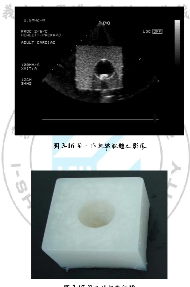圖 3-16 第一代組織假體之影像 