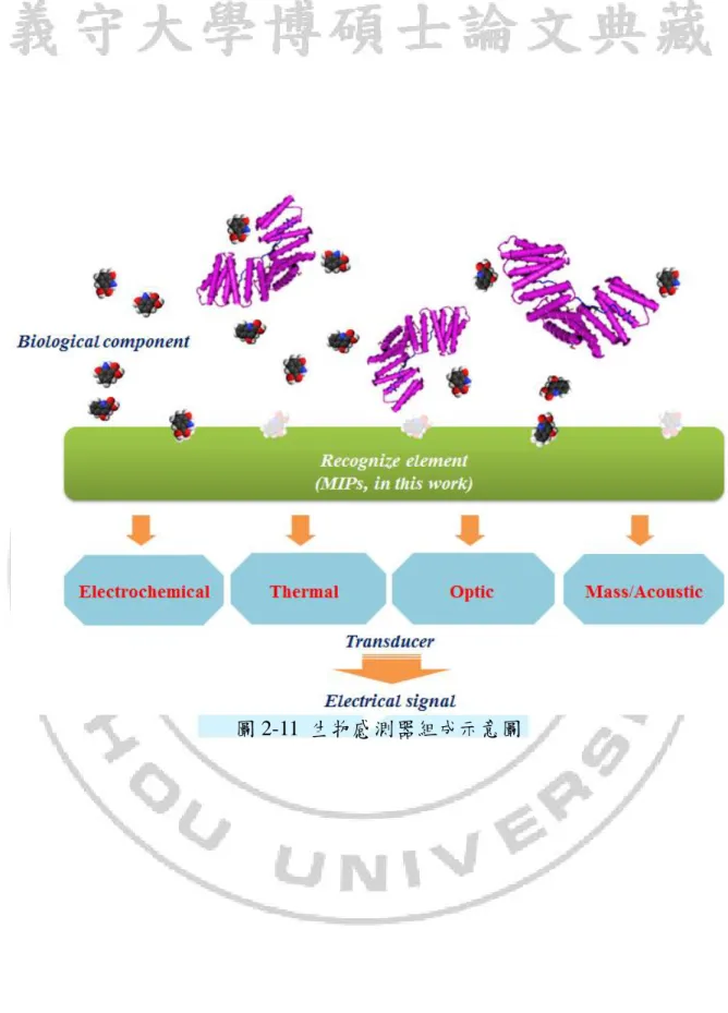 圖 2-11  生物感測器組成示意圖 