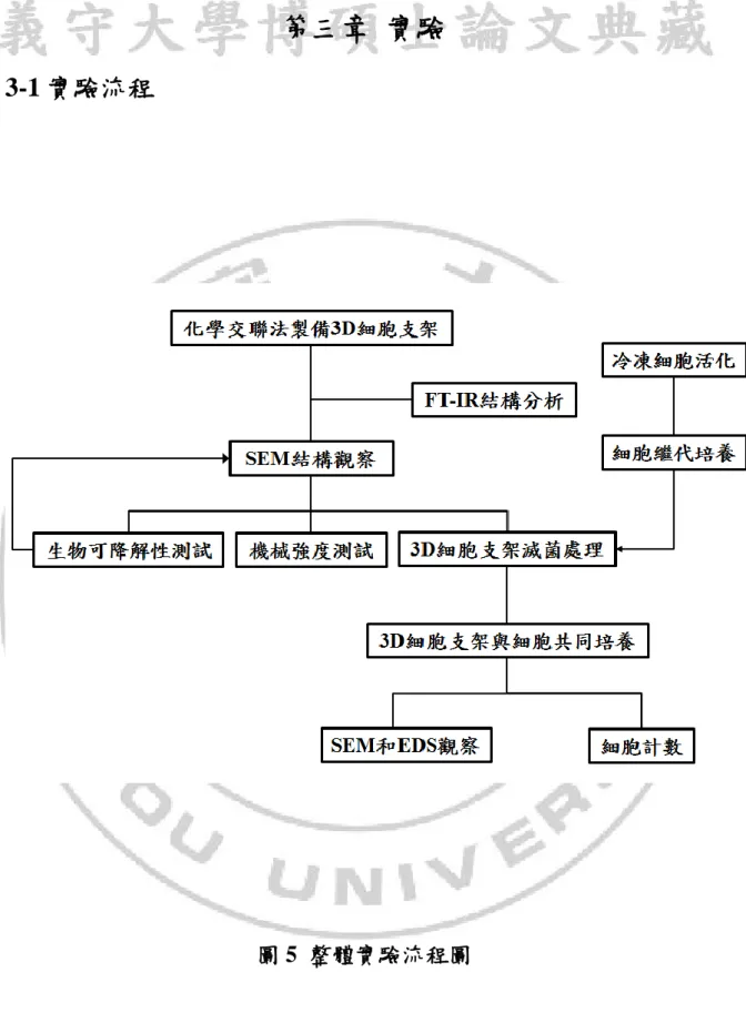 圖 5  整體實驗流程圖 