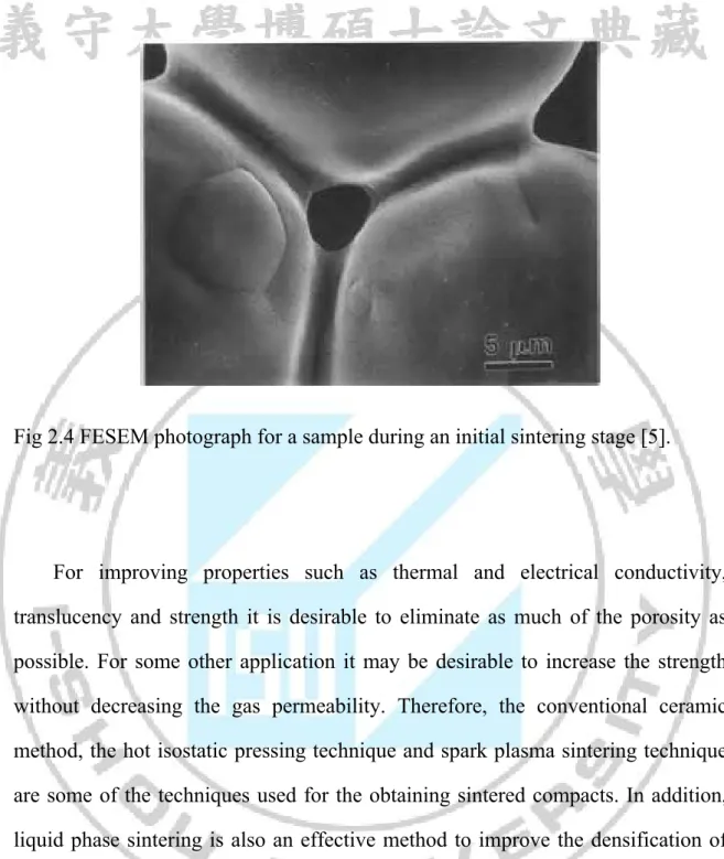 Fig 2.4 FESEM photograph for a sample during an initial sintering stage [5]. 