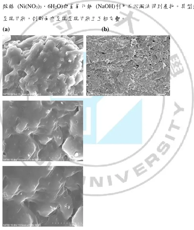 圖 4.1.1 (a)樣品 N10(b)樣品 N10 剖斷面之 SEM 照片 
