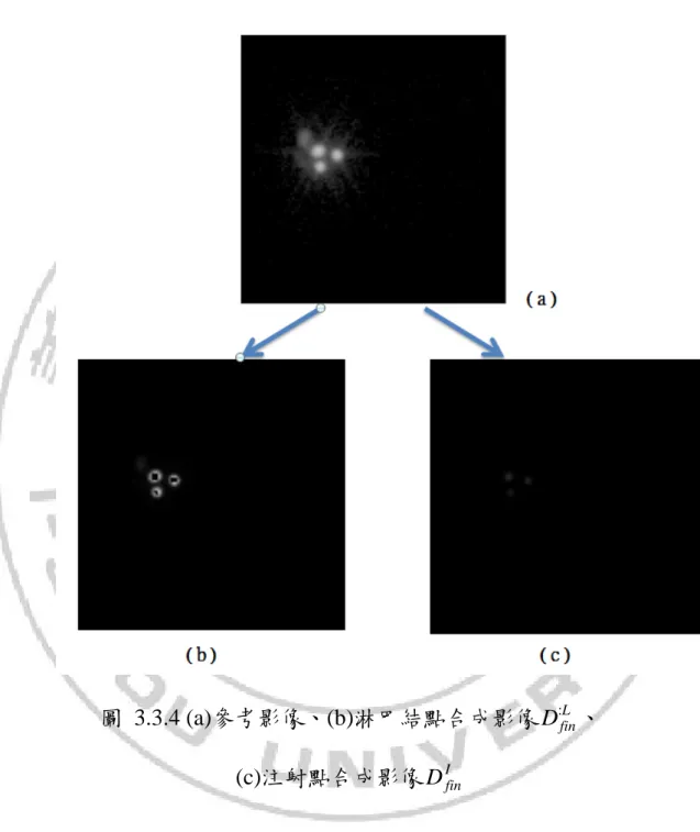 圖 3.3.4 (a)參考影像、(b)淋巴結點合成影像 D : fin L 、  (c)注射點合成影像 D I fin