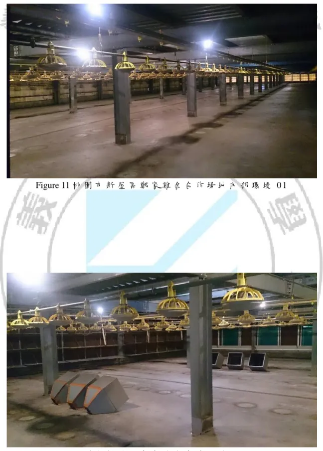 Figure 11 桃 園 市 新 屋 區 鄭 家 雞 舍 合 作 場 地 內 部 環 境 0 1  