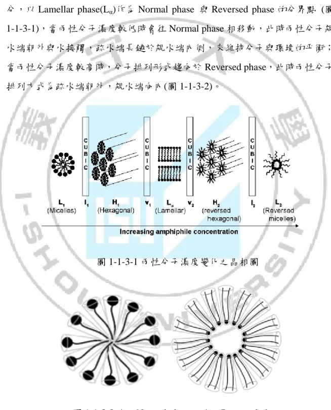 圖 1-1-3-1 兩性分子濃度變化之晶相圖 