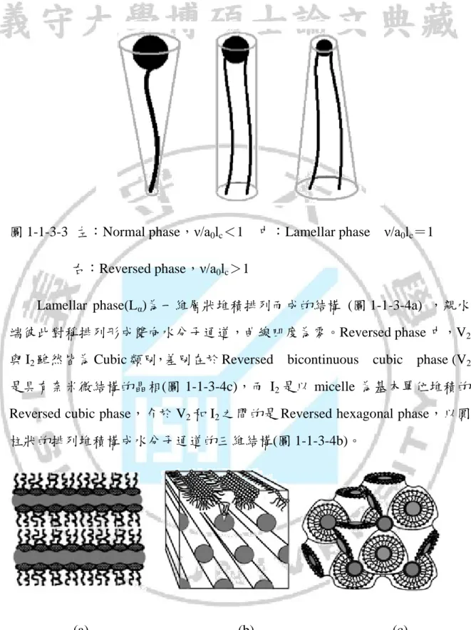 圖 1-1-3-3  左：Normal phase，ν/a 0 l c ＜1    中：Lamellar phase    ν/a 0 l c ＝1                    右：Reversed phase，ν/a 0 l c ＞1 