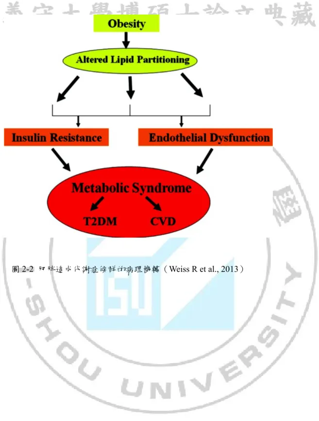 圖 2-2  肥胖造成代謝症候群的病理機轉（Weiss R et al., 2013） 	