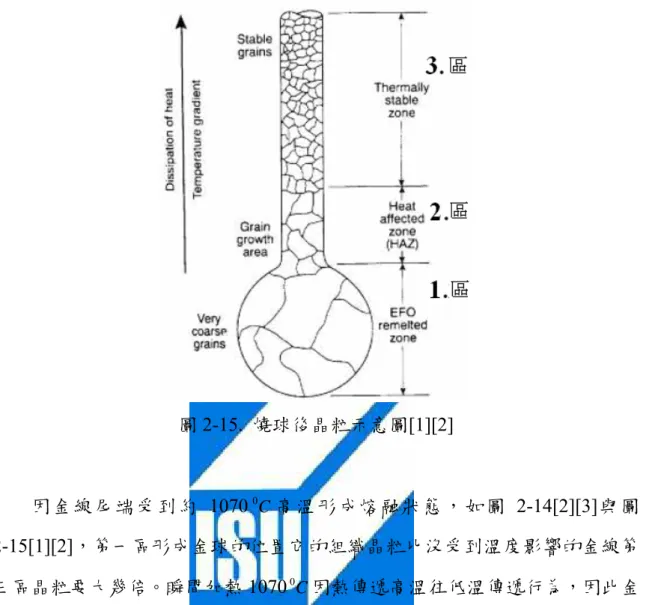 圖 2-15.  燒球後晶粒示意圖[1][2]          因金線尾端受到約 1070 0 C 高溫形成熔融狀態，如圖 2-14[2][3]與圖 2-15[1][2]，第一區形成金球的位置它的組織晶粒比沒受到溫度影響的金線第 三區晶粒要大幾倍。瞬間加熱 1070 0 C 因熱傳遞高溫往低溫傳遞行為，因此金 球上方為第二區也受到高溫影響，晶粒也有變大此部份稱熱影響區 (Heat  affected zone)或再結晶區(Recrystallization)。第二區因熱影響晶關係晶粒比未 受到熱影響要大，