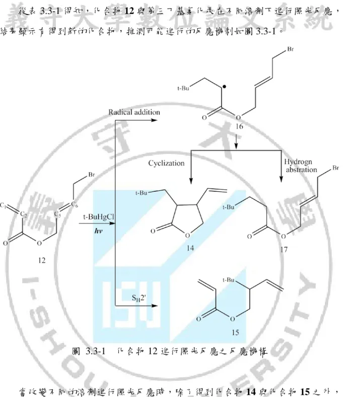 圖  3.3-1  化合物 12 進行照光反應之反應機構 