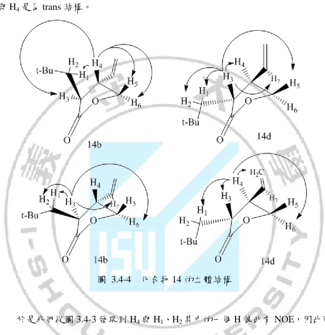 圖  3.4-4  化合物 14 的立體結構 
