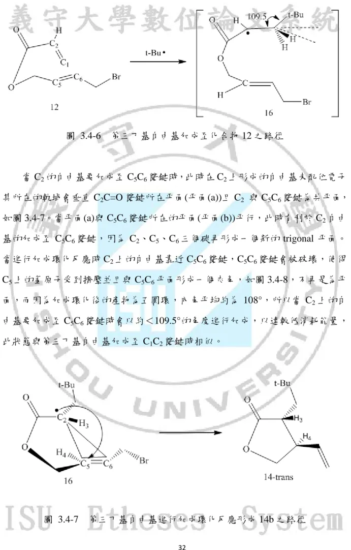 圖  3.4-6  第三丁基自由基加成至化合物 12 之路徑      當 C 2 的自由基要加成至 C 5 C 6 雙鍵時，此時在 C 2 上形成的自由基未配位電子 其所在的軌域會垂直 C 2 C=O 雙鍵所在平面(平面(a))且 C 2   與 C 5 C 6 雙鍵為共平面， 如圖 3.4-7。當平面(a)與 C 5 C 6 雙鍵所在的平面(平面(b))平行，此時有利於 C 2 自由 基的加成至 C 5 C 6 雙鍵，因為 C 2 、C 5 、C 6 三個碳再形成一個新的 trigonal 平面。 當進