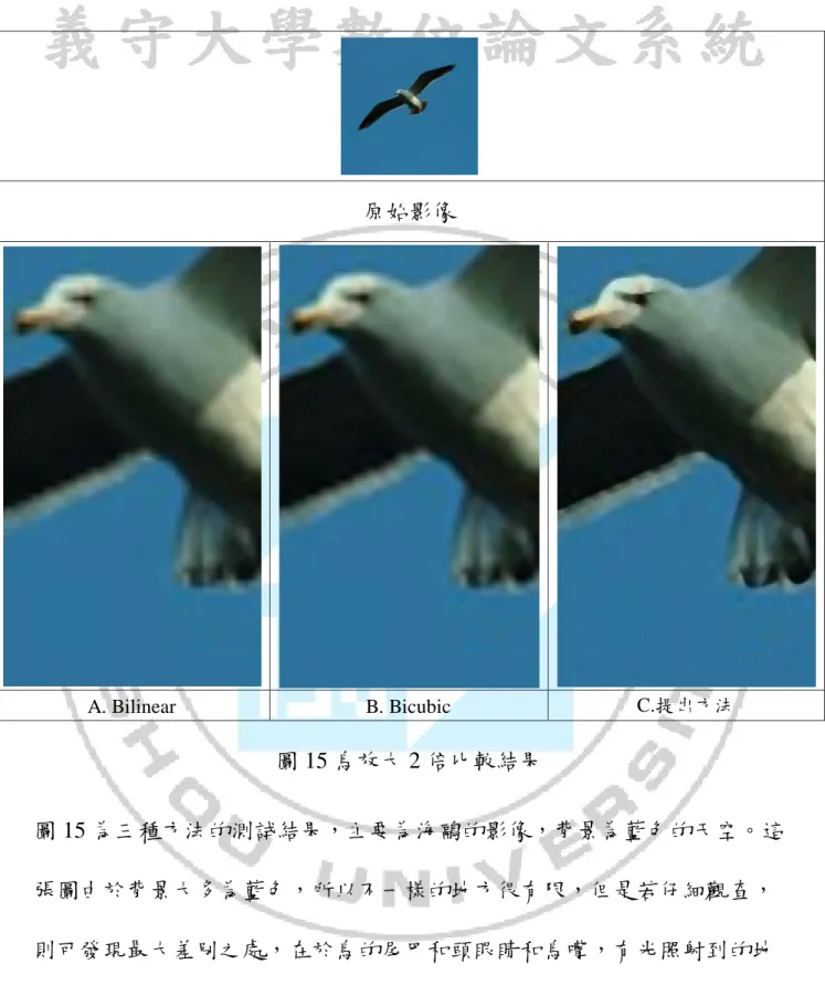 圖 15 鳥放大 2 倍比較結果  圖 15 為三種方法的測試結果，主要為海鷗的影像，背景為藍色的天空。這 張圖由於背景大多為藍色，所以不一樣的地方很有限，但是若仔細觀查， 則可發現最大差別之處，在於鳥的尾巴和頭眼睛和鳥嘴，有光照射到的地 方，有著明顯的差別。其中、Ａ圖效果最差其次是 B 圖然後 C 圖最好。 原始影像 A
