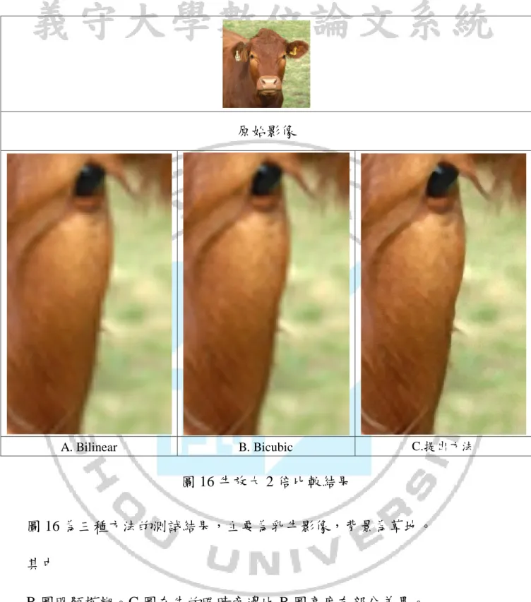 圖 16 牛放大 2 倍比較結果  圖 16 為三種方法的測試結果，主要為乳牛影像，背景為草地。  其中  B 圖明顯模糊。C 圖在牛的眼睛旁邊比 B 圖亮度有部分差異。  C 圖在背景部份與在牛的主體、耳朵、頭的中間、身體都比較清晰。。 原始影像 A