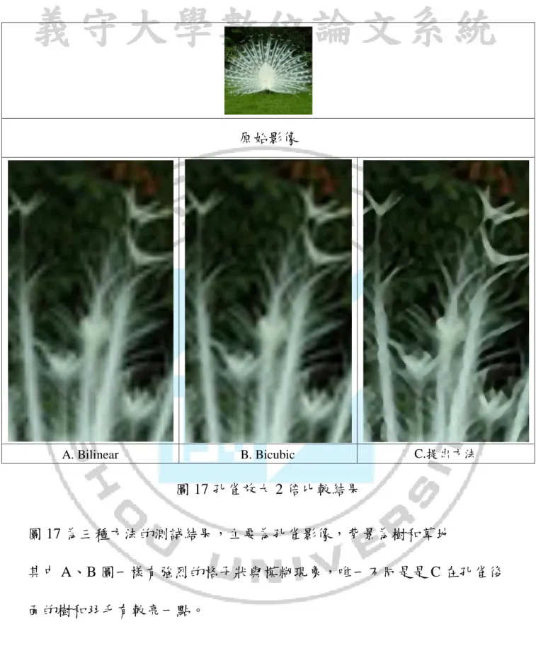 圖 17 孔雀放大 2 倍比較結果  圖 17 為三種方法的測試結果，主要為孔雀影像，背景為樹和草地  其中 A、B 圖一樣有強烈的格子狀與模糊現象，唯一不同是是 C 在孔雀後 面的樹和羽毛有較亮一點。  原始影像 A
