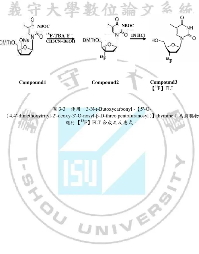 圖 3-3    使用﹛3-N-t-Butoxycarbonyl -【5′-O-