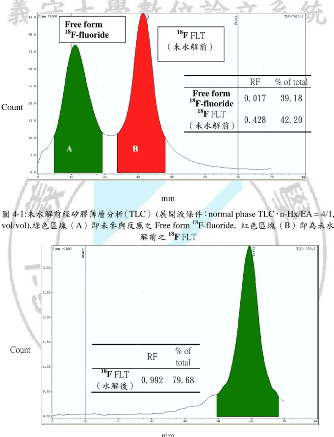 圖 4-1:未水解前經矽膠薄層分析（TLC）  (展開液條件：normal phase TLC，n-Hx/EA = 4/1,  vol/vol),綠色區塊（A）即未參與反應之 Free form  18 F-fluoride,  紅色區塊（B）即為未水