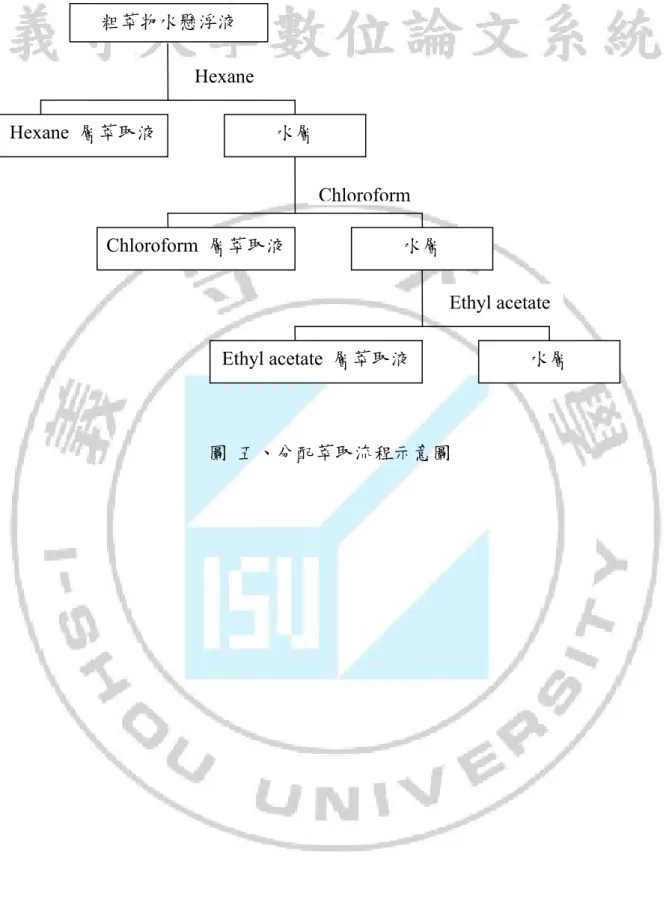 圖  五、分配萃取流程示意圖      粗萃物水懸浮液  Hexane Hexane  層萃取液 水層  ChloroformChloroform  層萃取液 水層  Ethyl acetate Ethyl acetate  層萃取液 水層 