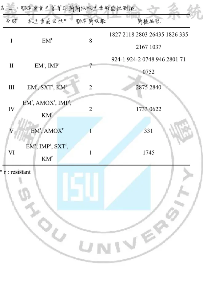 表  二、臨床金黃色葡萄球菌菌株抗生素敏感性測試  分類  抗生素感受性*  臨床菌株數 菌種編號  I EM r  8  1827 2118 2803 26435 1826 335  2167 1037  II EM r , IMP r  7  924-1 924-2 0748 946 2801 71    0752  III EM r , SXT r , KM r  2  2875  2840  IV  EM r , AMOX r , IMP r ,  KM r 2 1733  0622  V EM r
