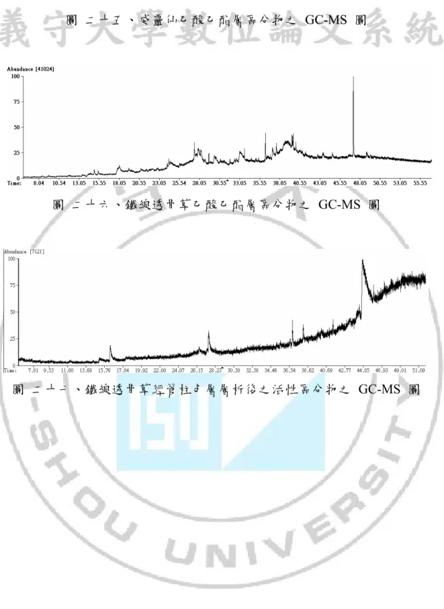 圖  二十五、威靈仙乙酸乙酯層區分物之 GC-MS 圖 