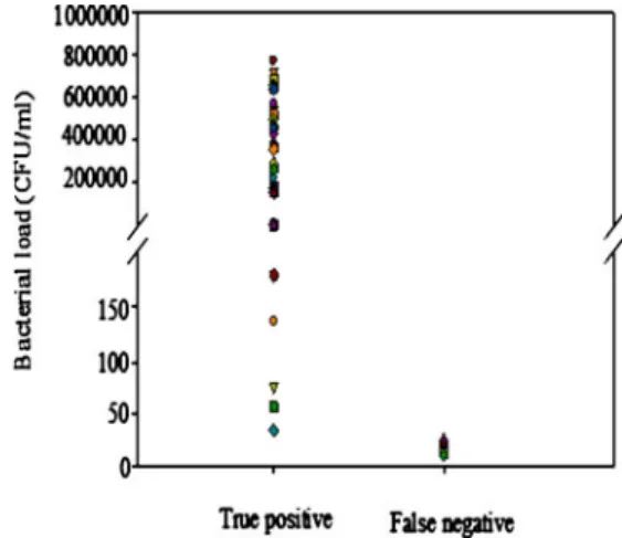Fig. 2 Bacterial loads of positive samples estimated by SYBR Green I-based real-time PCR assay