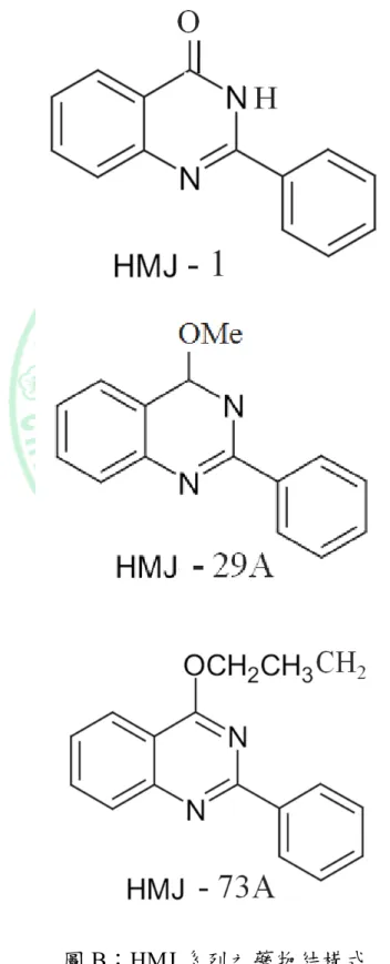 圖 B：HMJ 系列之藥物結構式 