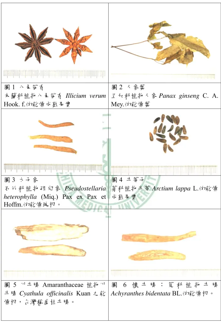 圖 1  八角茴香  木蘭科植物八角茴香 Illicium verum  Hook. f.的乾燥成熟果實  圖 2  人參葉  五加科植物人參 Panax ginseng C