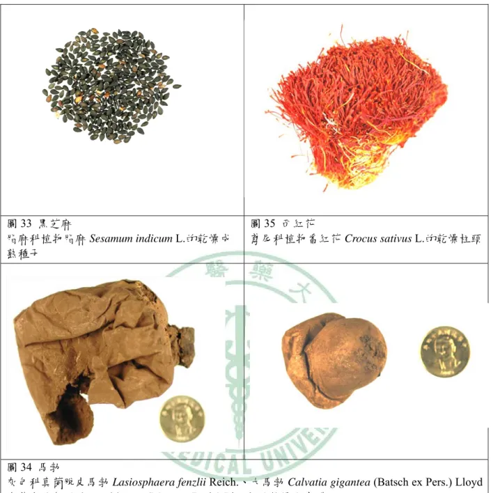 圖 33  黑芝麻  脂麻科植物脂麻 Sesamum indicum L.的乾燥成 熟種子 圖 35  西紅花  鳶尾科植物番紅花 Crocus sativus L.的乾燥柱頭 圖 34  馬勃 