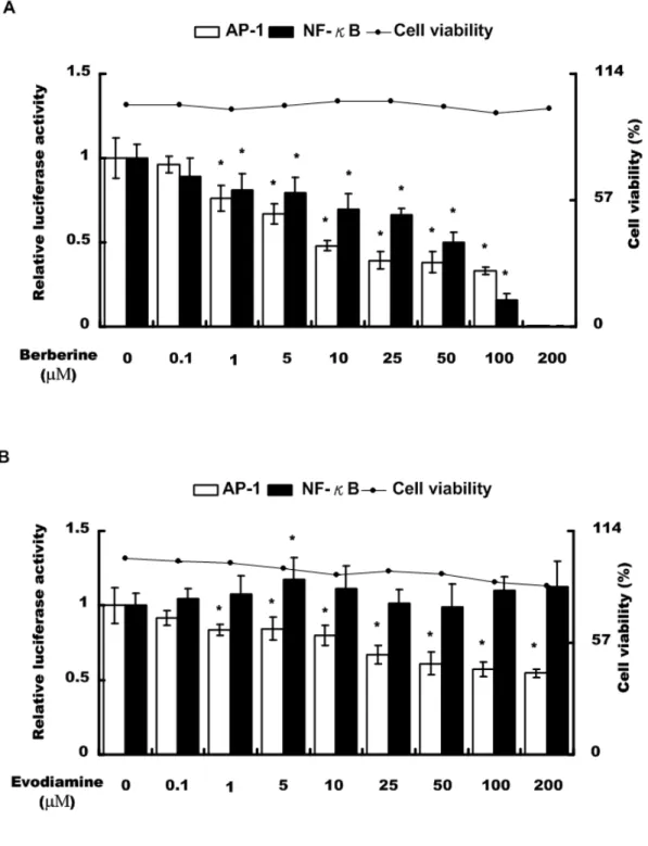 圖 4.1.7. 小蘗鹼與吳茱萸鹼在 HepG2 細胞株對 TPA 誘發的 AP-1 及 NF-κB  活化的抑制效果 