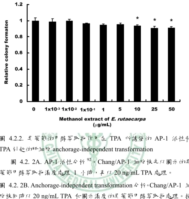 圖 4.2.2. 吳茱萸的甲醇萃取物作用在 TPA 所誘發的 AP‐1  活性和  TPA 引起的肝細胞 anchorage‐independent transformation 