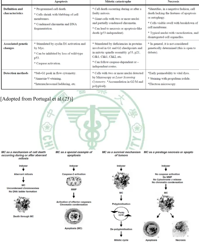Table 4. Comparison of major cell death pathways observed in drug-treated cells 
