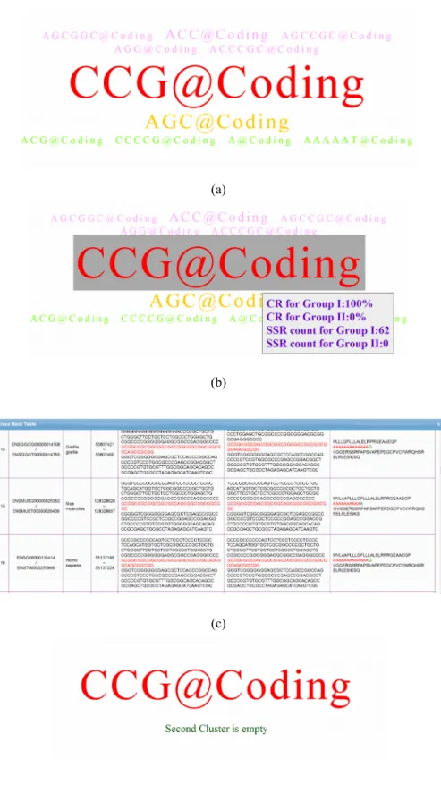 Figure 5. (a) SSR tag cloud for 17 skeletal development related genes constrained to coding regions; 