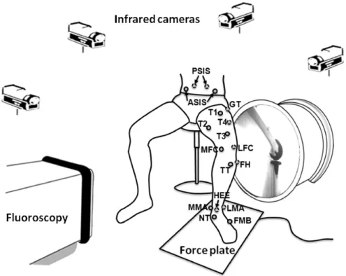 Fig. 1. Schematic diagram showing a subject standing up from a chair while under simultaneous stereophotogrammetry and ﬂuoroscopy system surveillance