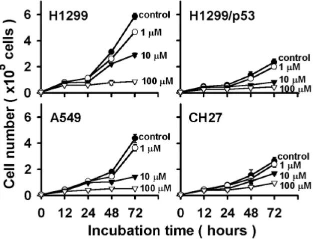 圖 5. H1299, H1299/p53, A549 and CH27 cells were treated with drug-free  medium（control）, or medium containing 1, 10 or 100 µM of berberine for 12,  24, 48 and 72 hours