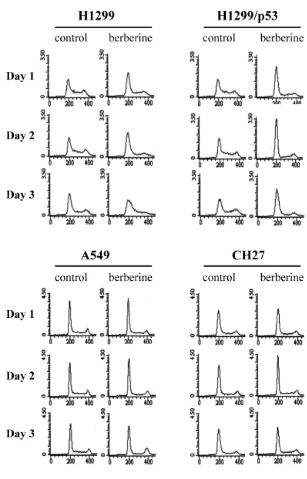 圖 6. Flow cytometric analysis of four NSCLCs treated with berberine（100  µM）for 24, 48 and 72 hours