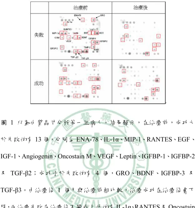 圖 1  以蛋白質晶片分析第一組病人。結果顯示，在治療前，成功大 於失敗的有 13 個，分別為 ENA-78、IL-1α、MIP-1、RANTES、EGF、 IGF-1、Angiogenin、Oncostain M、VEGF、Leptin、IGFBP-1、IGFBP-2 及 TGF-β2；成功小於失敗的有 4 個，GRO、BDNF、IGFBP-3 及 TGF-β3。由治療後 1 個月與治療前相比較，治療成功在治療後會下 降，而治療失敗在治療後不變或上升的有 IL-1α、RANTES 及 Oncostain 