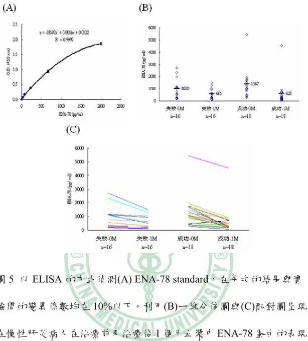 圖 5  以 ELISA 的方式偵測(A) ENA-78 standard，在每次的結果與實 驗間的變異係數均在 10%以下。利用(B)ㄧ維分佈圖與(C)配對圖呈現 在慢性肝炎病人在治療前及治療後 1 個月血漿中 ENA-78 蛋白的表現 量，包含 16 個治療失敗及 18 個治療成功病人的結果。ELISA 的結果 顯示在治療前，治療成功與失敗無統計上意義；而治療失敗與成功在 治療 1 個月後均會下降，以配對 T-test 分析具有統計上意義  (p=0.003 及 p<0.001)，而治療成功下降的