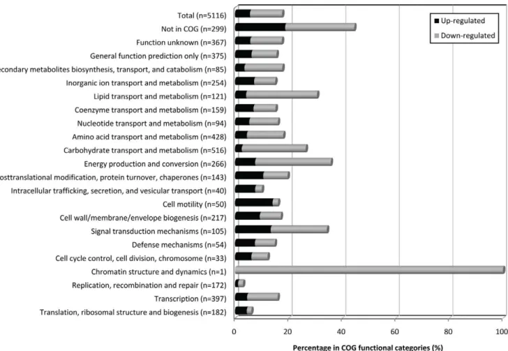 Figure 3. Functional classification of Hfq-dependent genes. Microarray-based transcriptome analyses revealed 897 ORFs that are significantly deregulated in Dhfq as compared to that in CG43S